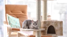 Petco Pet Education Center