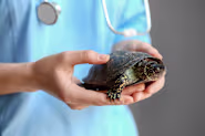 Petco Pet Education Center