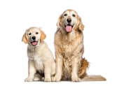 Petco Pet Education Center
