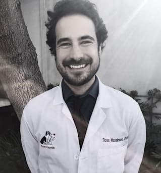 Author profile image