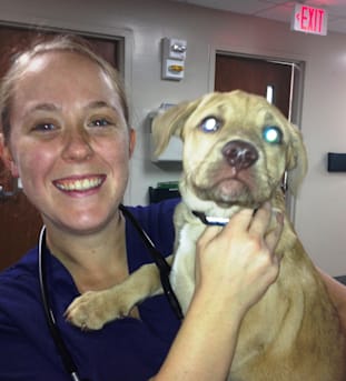 Author profile image