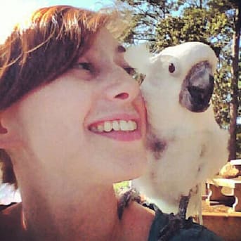 Author profile image