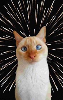 Author profile image