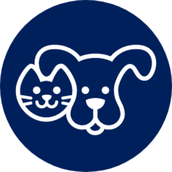 Author profile image