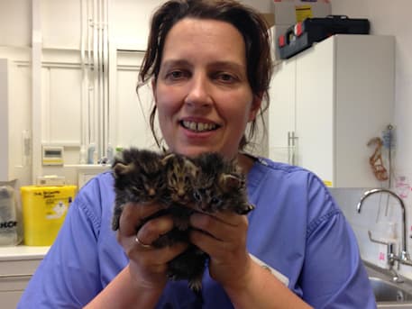 Author profile image