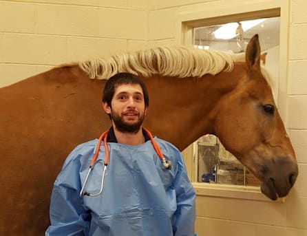 Author profile image