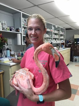 Author profile image