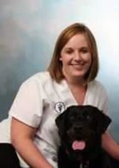 Author profile image