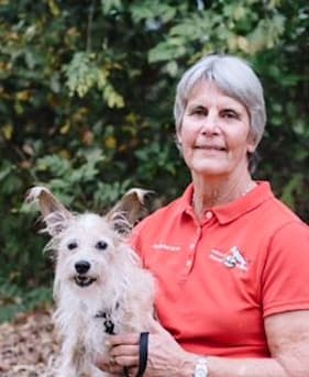 Author profile image