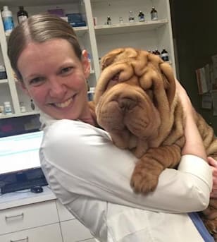 Author profile image