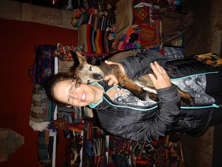 Author profile image