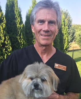 Author profile image