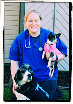 Author profile image