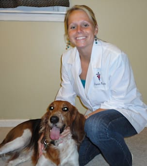 Author profile image