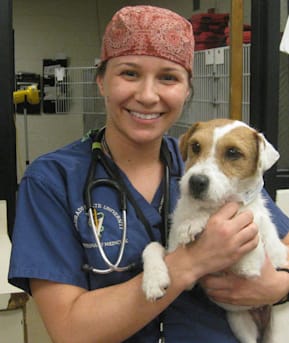 Author profile image