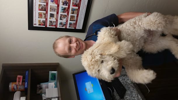 Author profile image