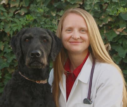 Author profile image