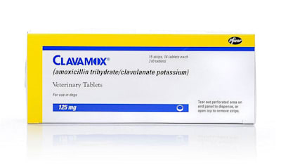 Clavamox: Dog & Cat Antibiotic for Skin, UTI, Dental Infections