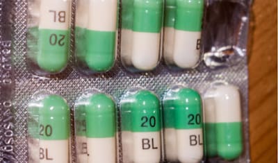 Fluoxetine for Dogs & Cats: Manage Anxiety, Behavior, Urine Marking