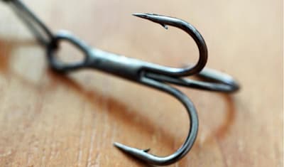 Dog Ate Fishhook or Paw Injury: Symptoms & Emergency Treatment