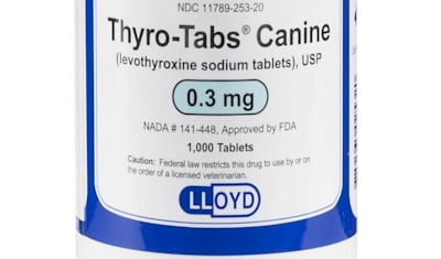 Levothyroxine for Pets: Hypothyroidism Treatment & Dosage Guide