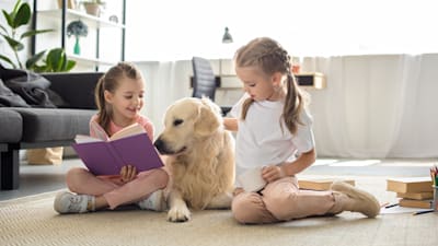 How to Calm Down Your Dog