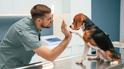 What to Expect at Your Dog’s First Vet Visit