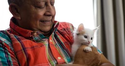 Choose Your Perfect Kitten: Health, Personality & Socialization Guide