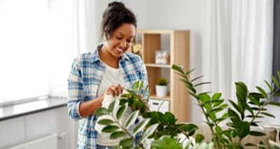 Protect Your Bird: Identify Toxic & Safe Plants for Your Bird's Home