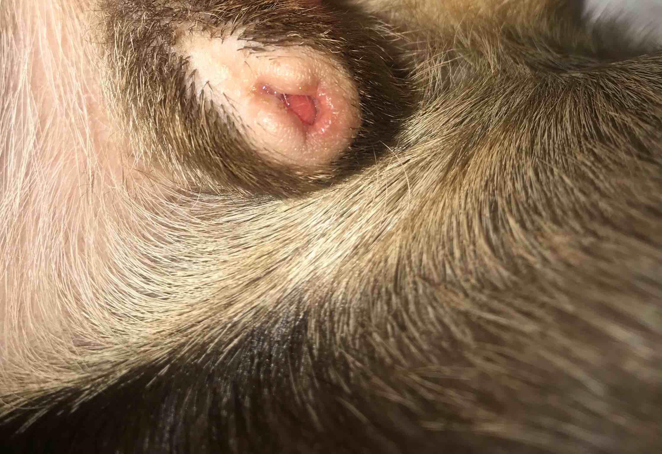 Question details sensitive content