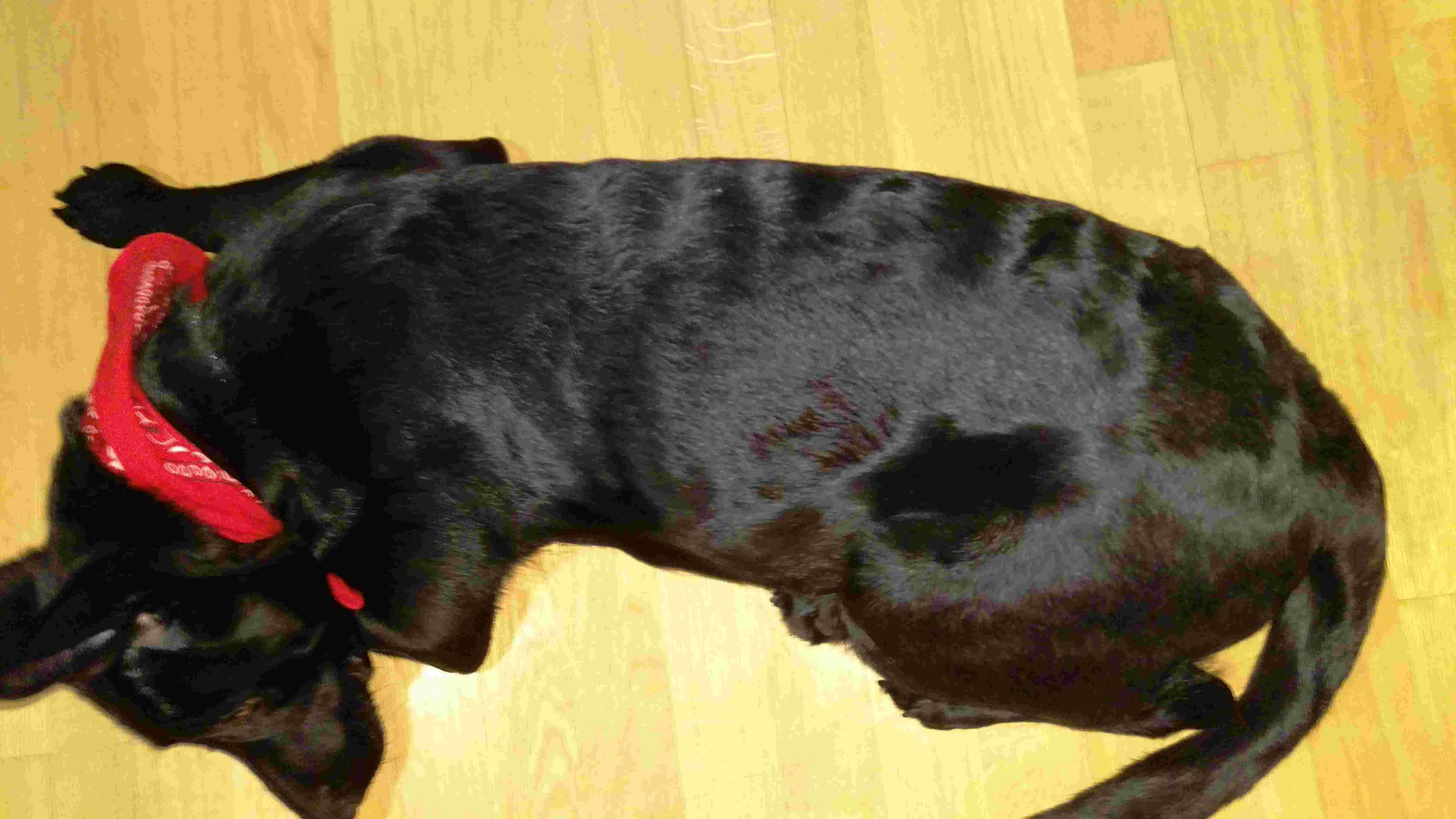 Question details sensitive content