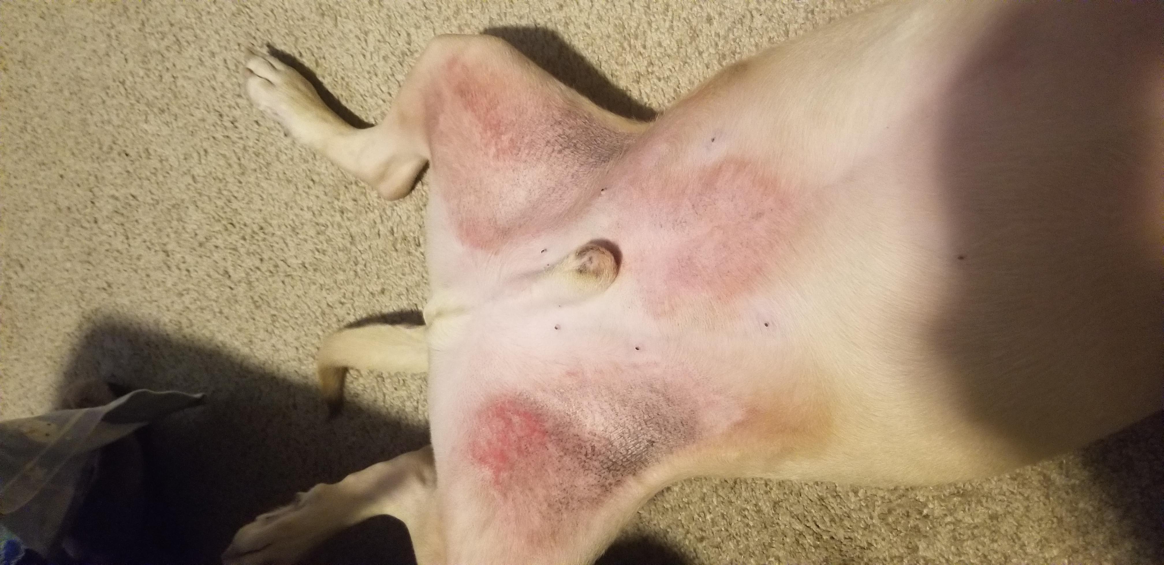 Question details sensitive content