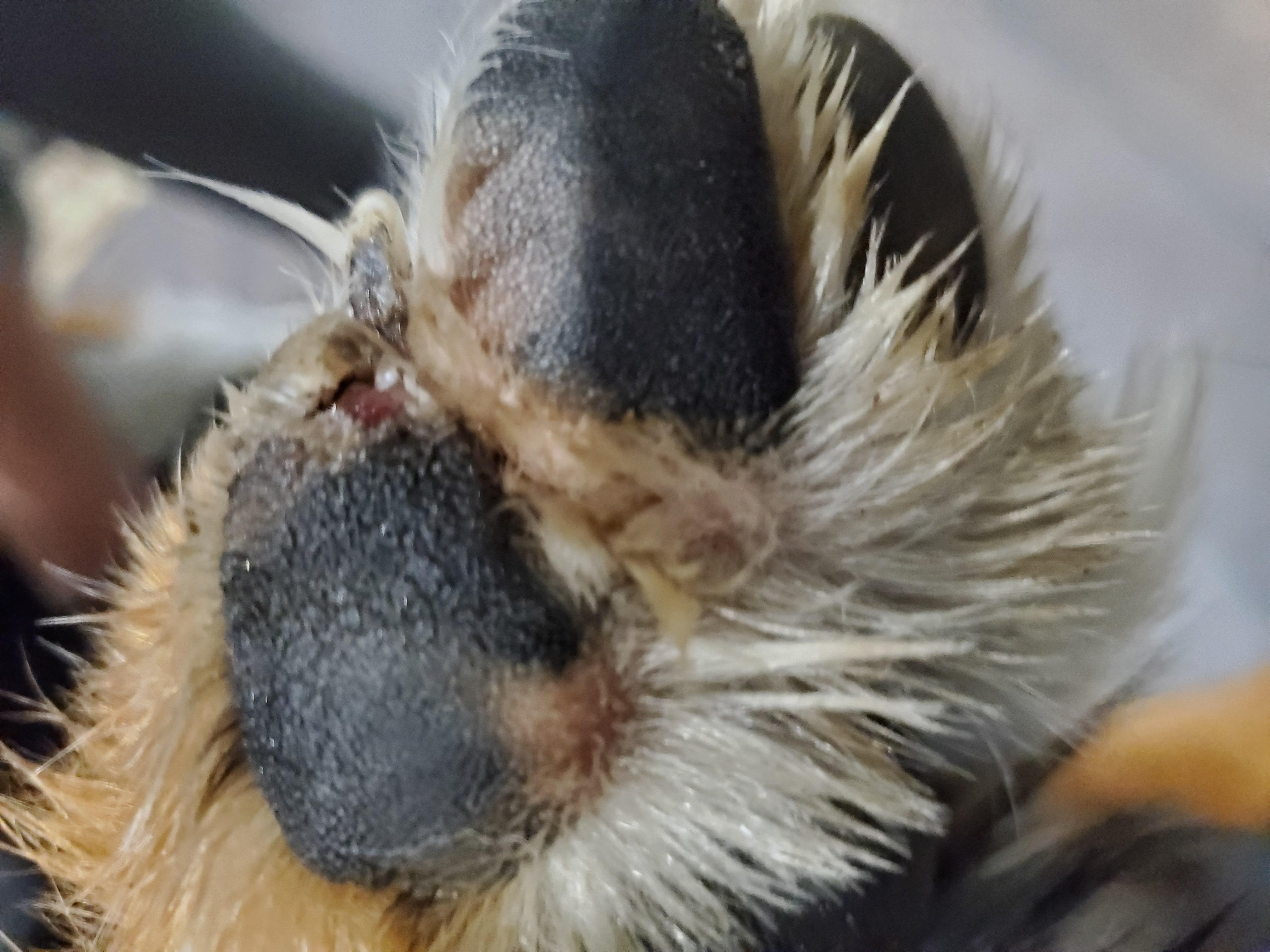 Question details sensitive content