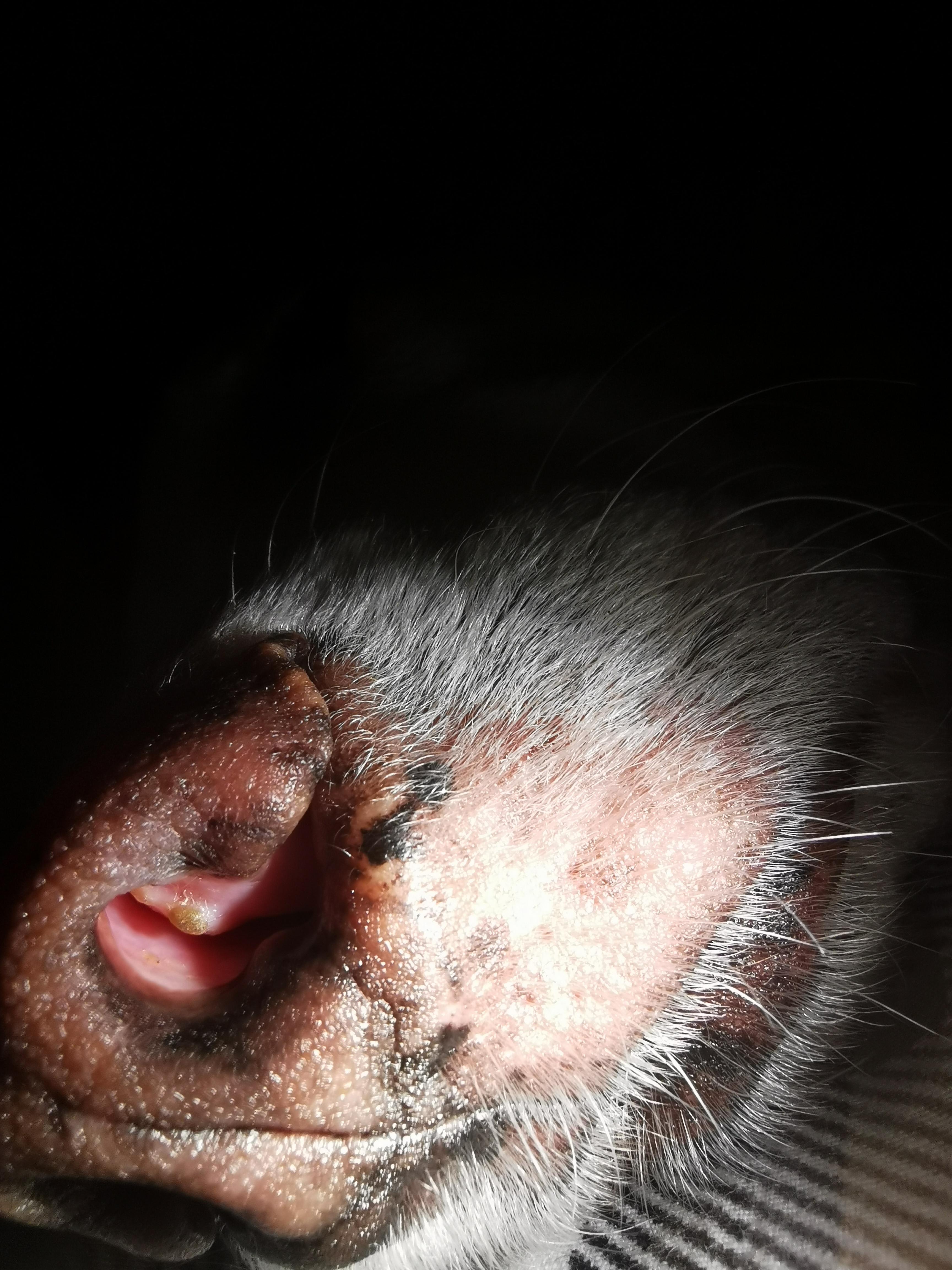 Question details sensitive content