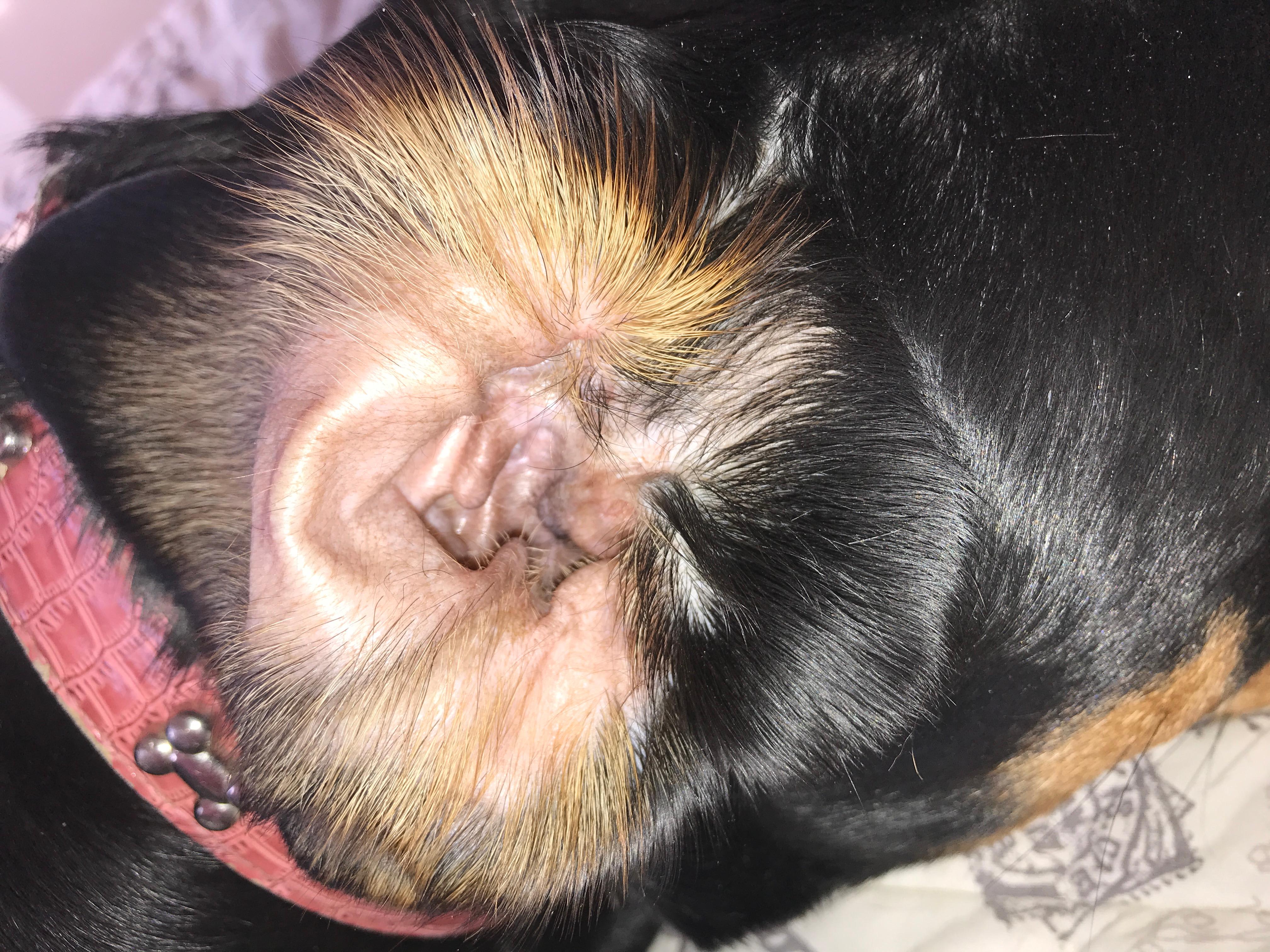 Question details sensitive content