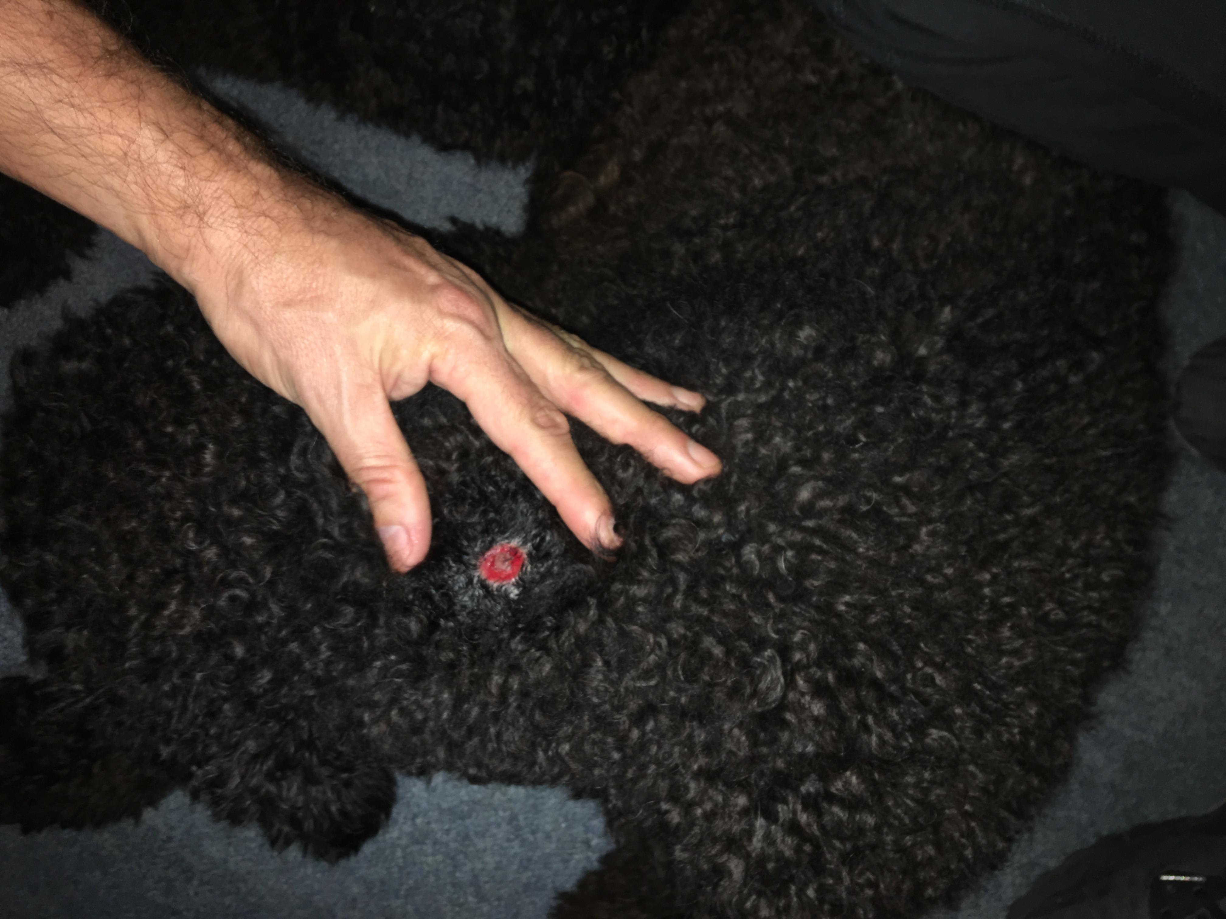 Question details sensitive content