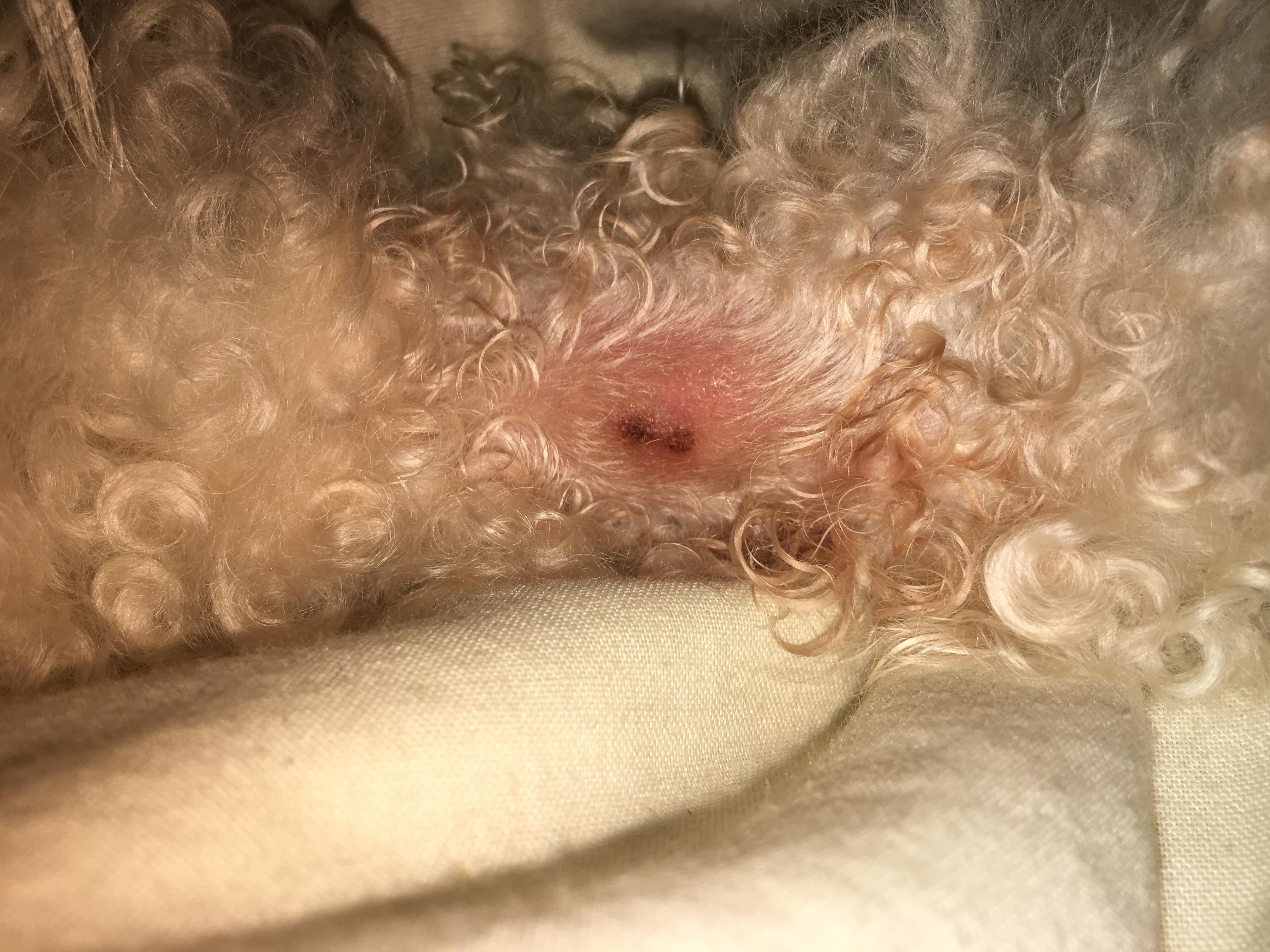 Question details sensitive content