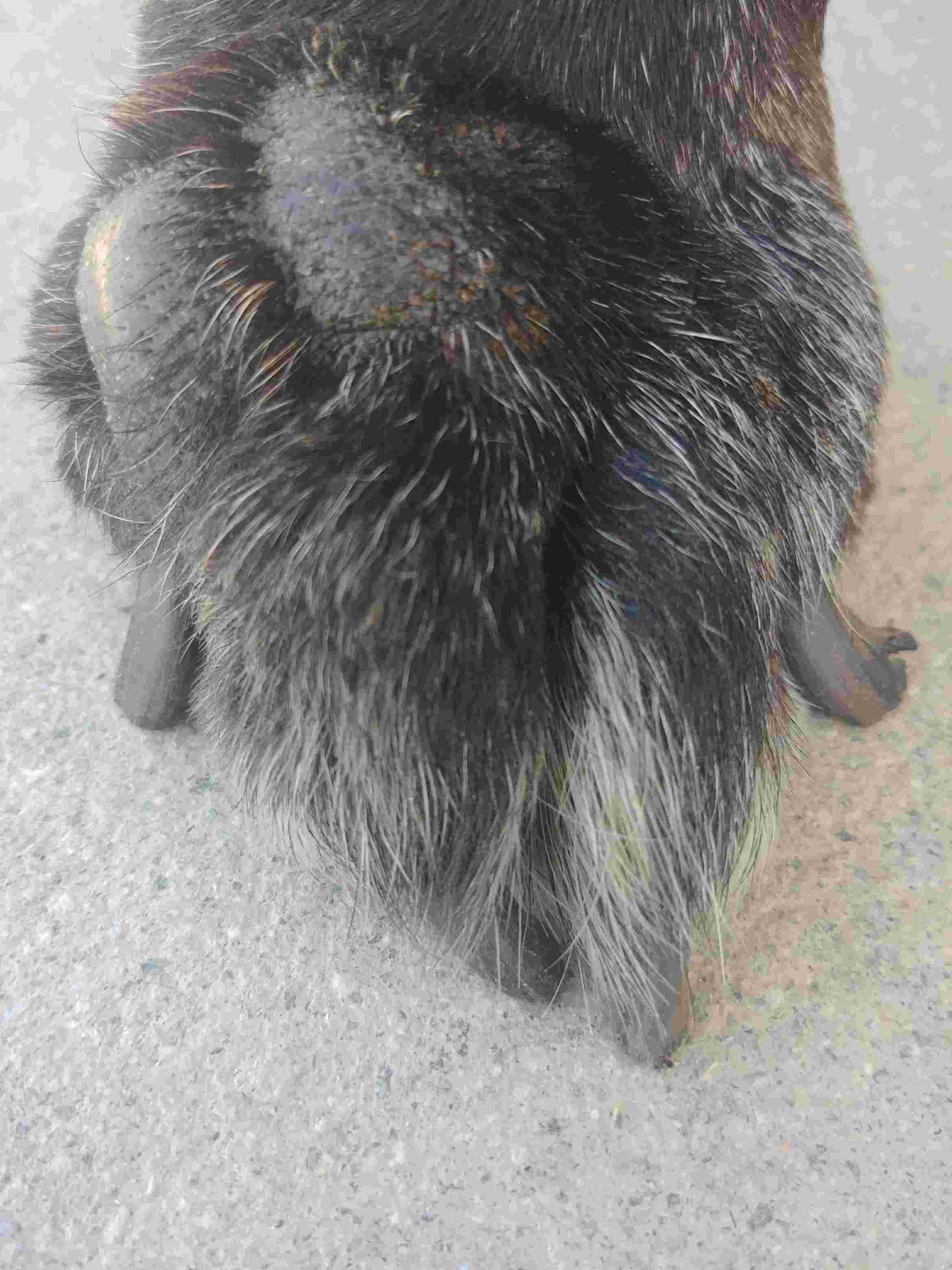 Question details sensitive content