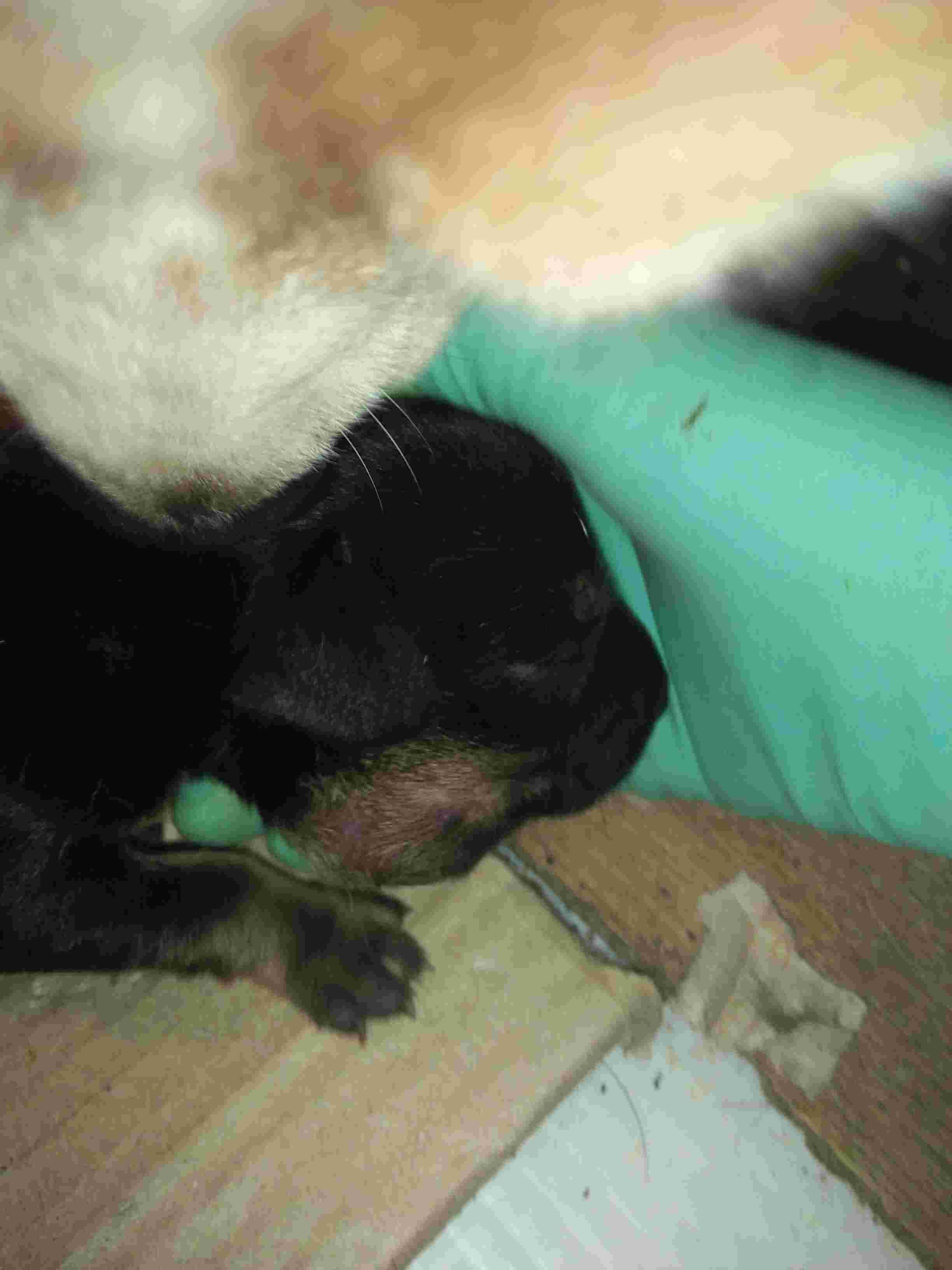 Question details sensitive content