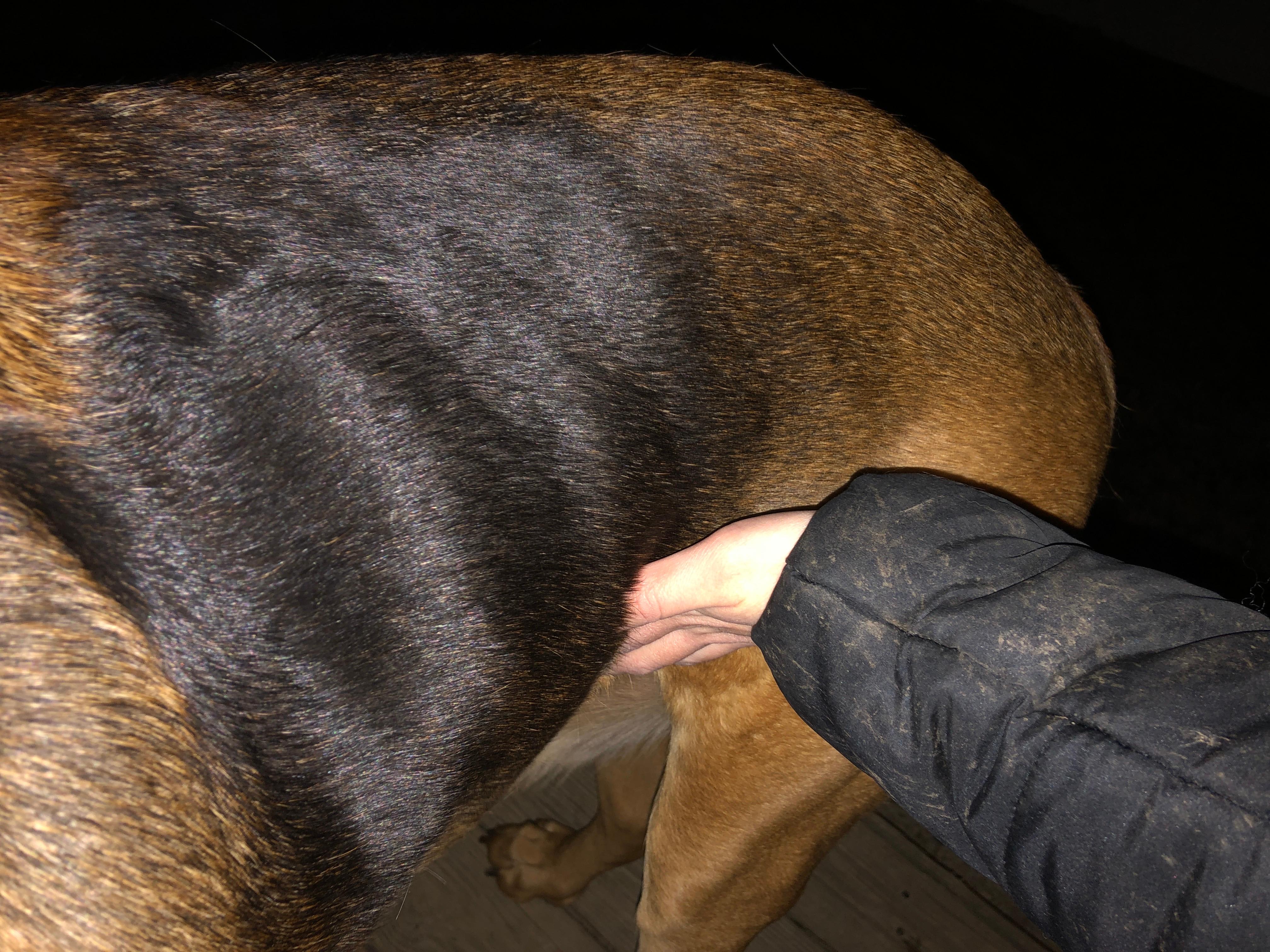 Question details sensitive content