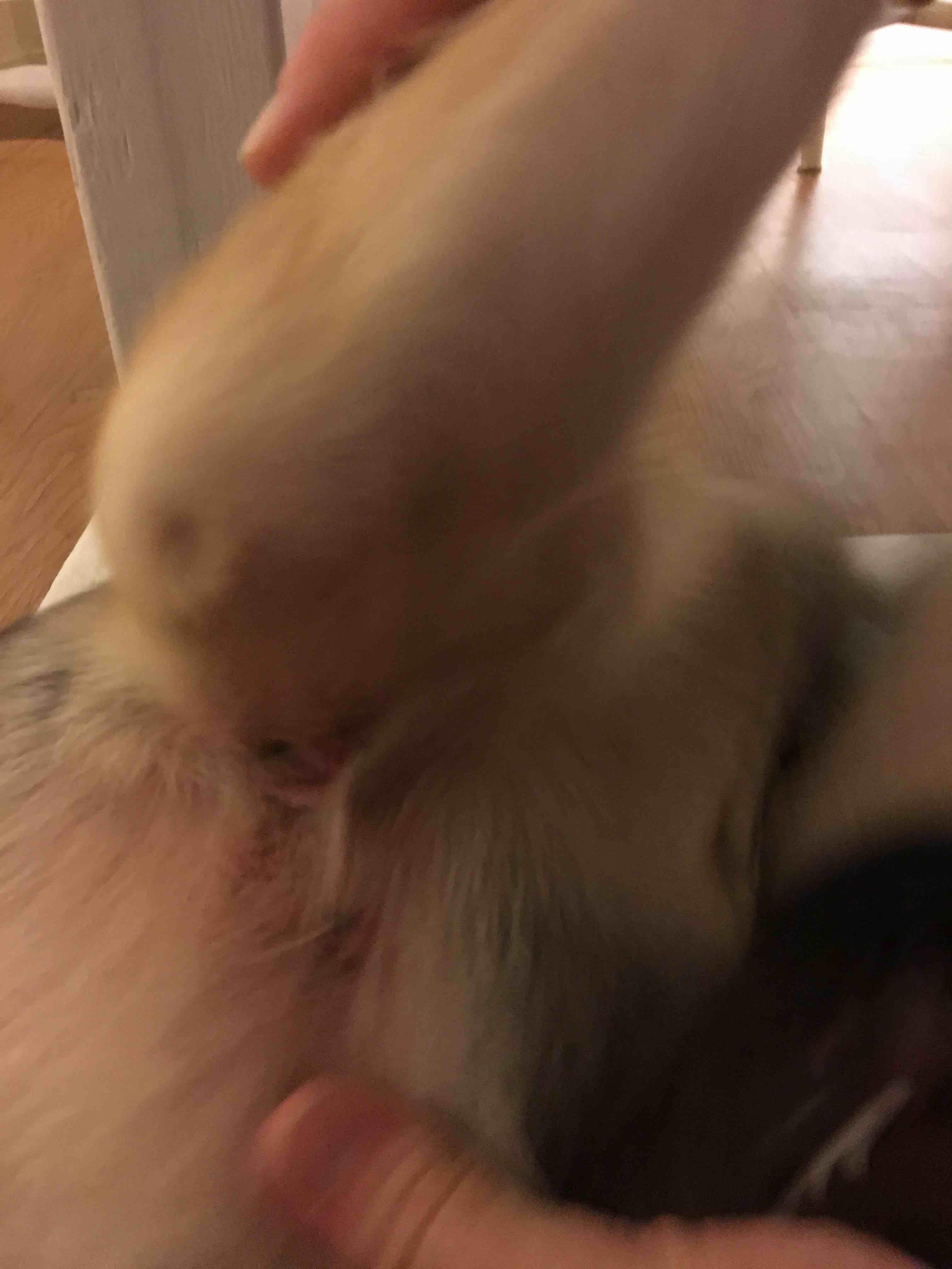 Question details sensitive content