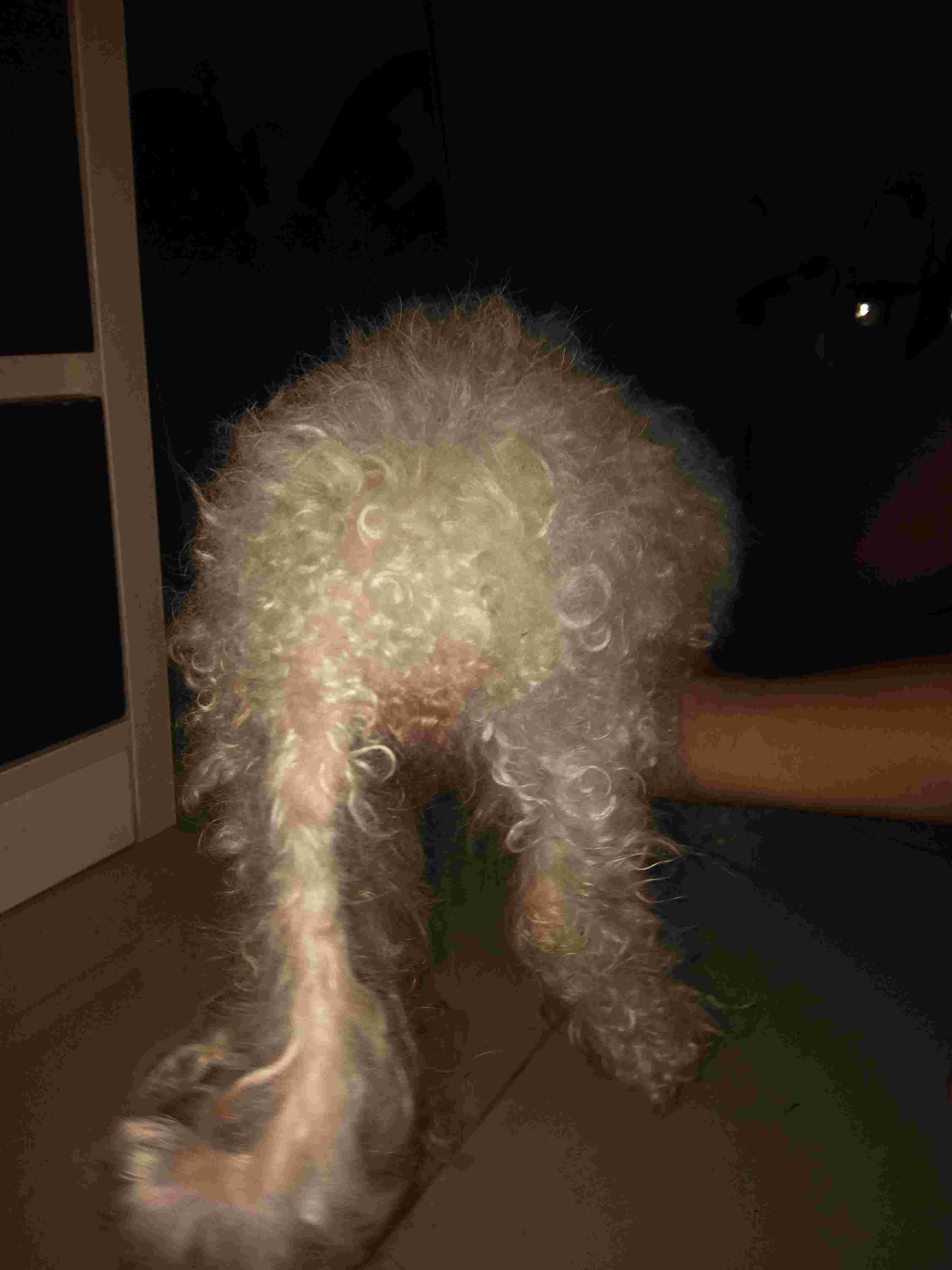 Question details sensitive content