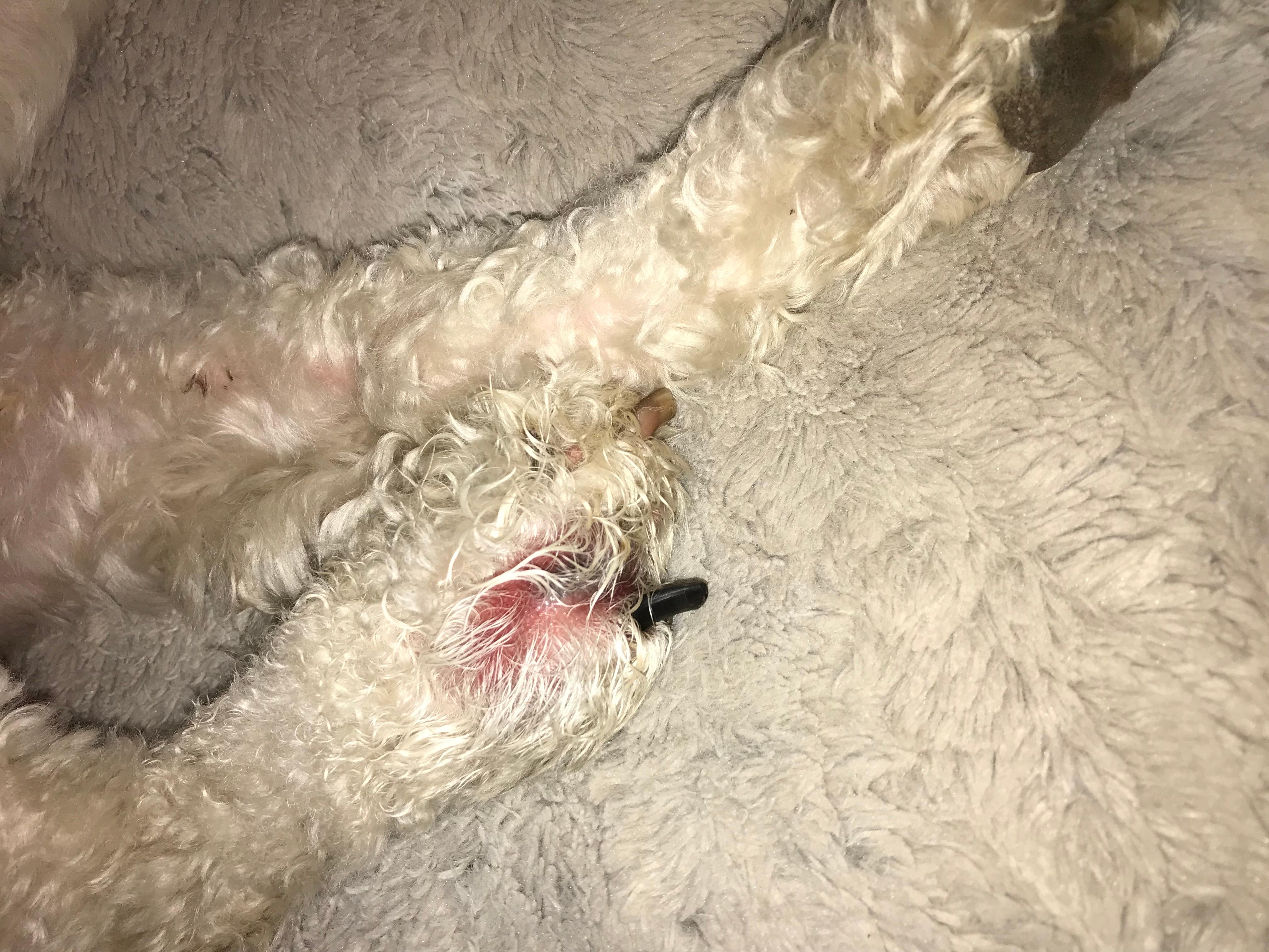 Question details sensitive content