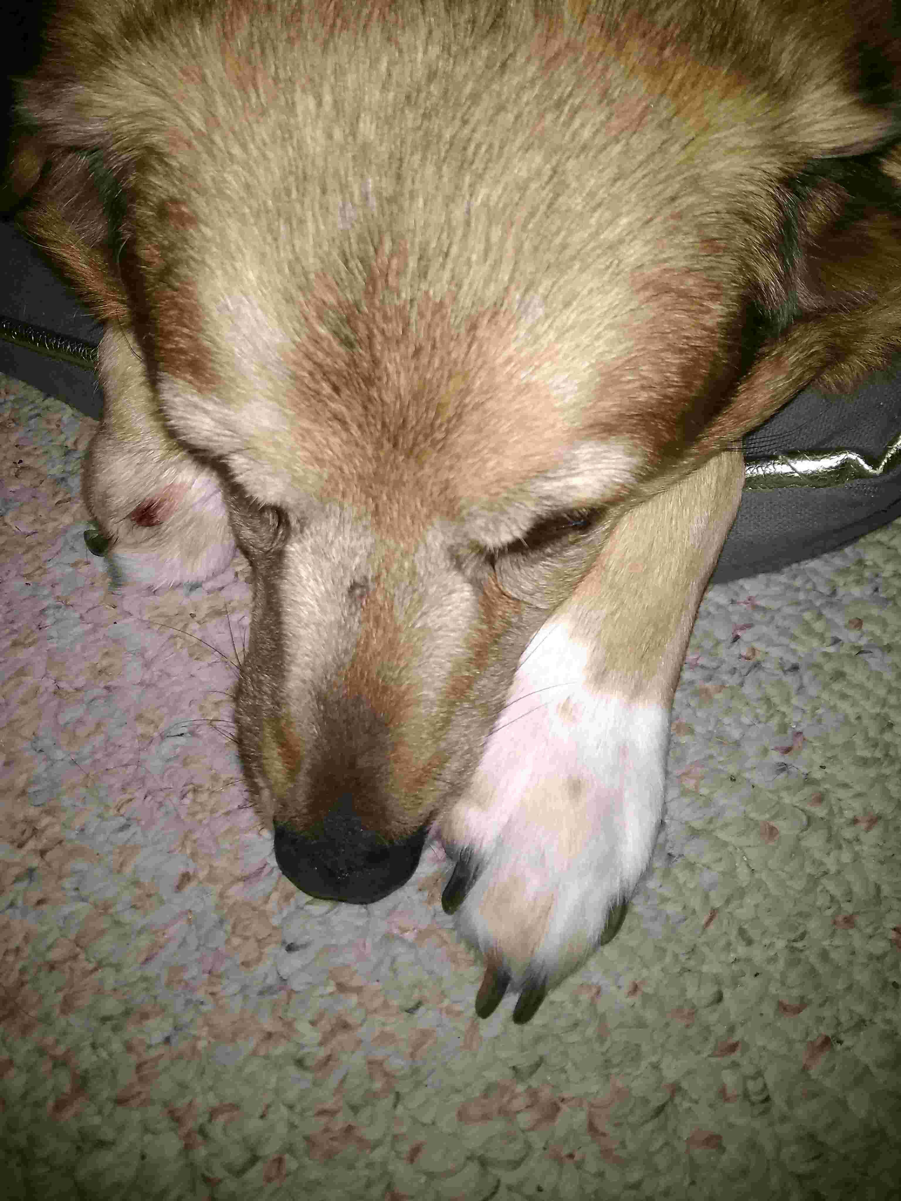 Question details sensitive content