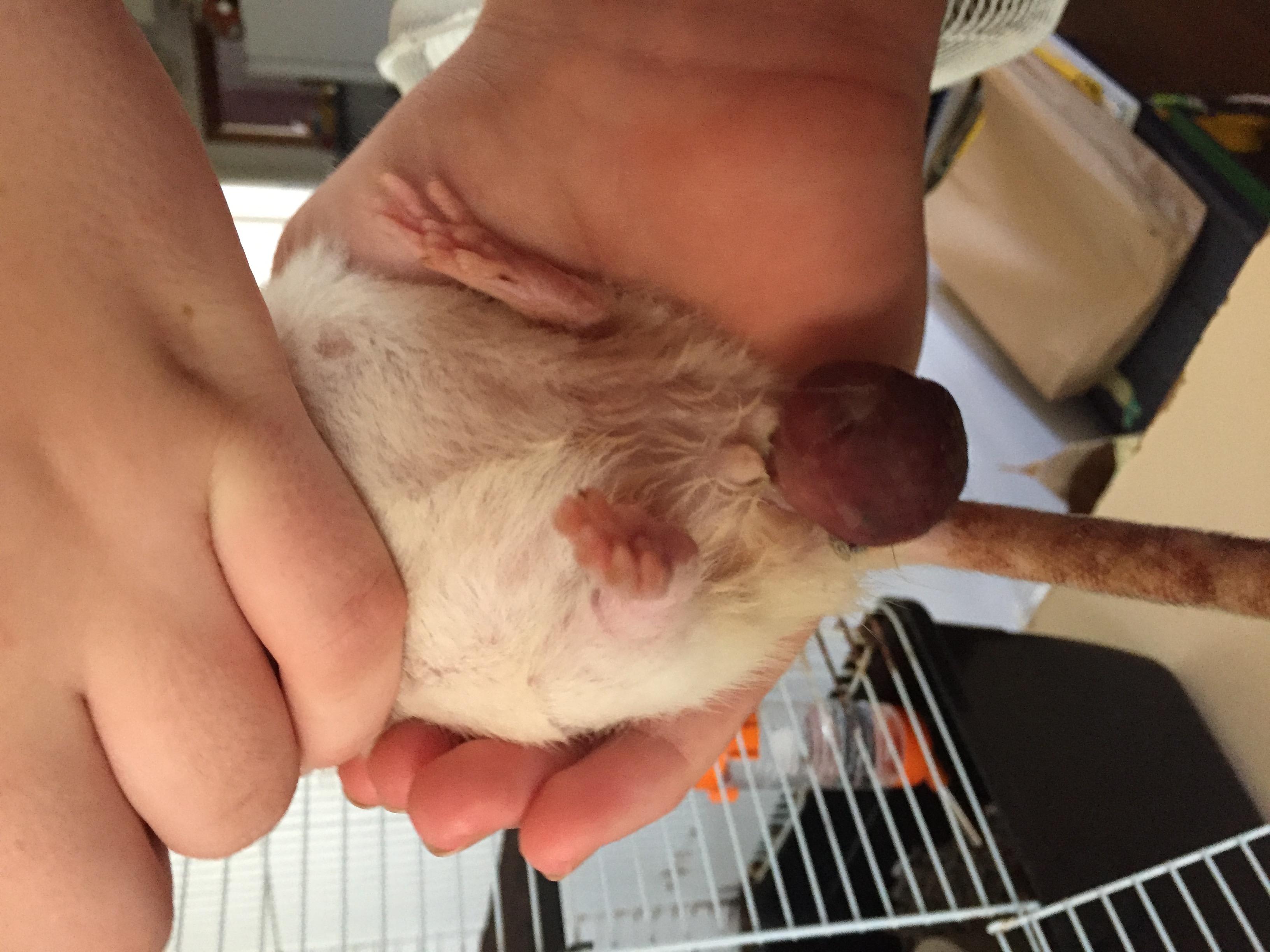 Question details sensitive content