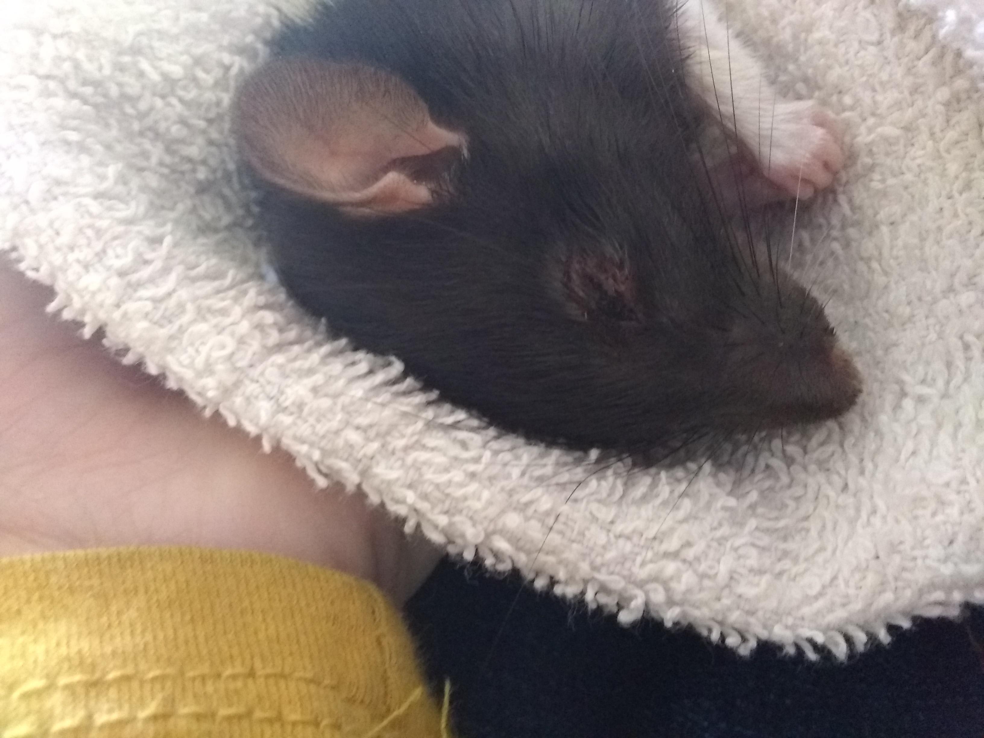 Question details sensitive content