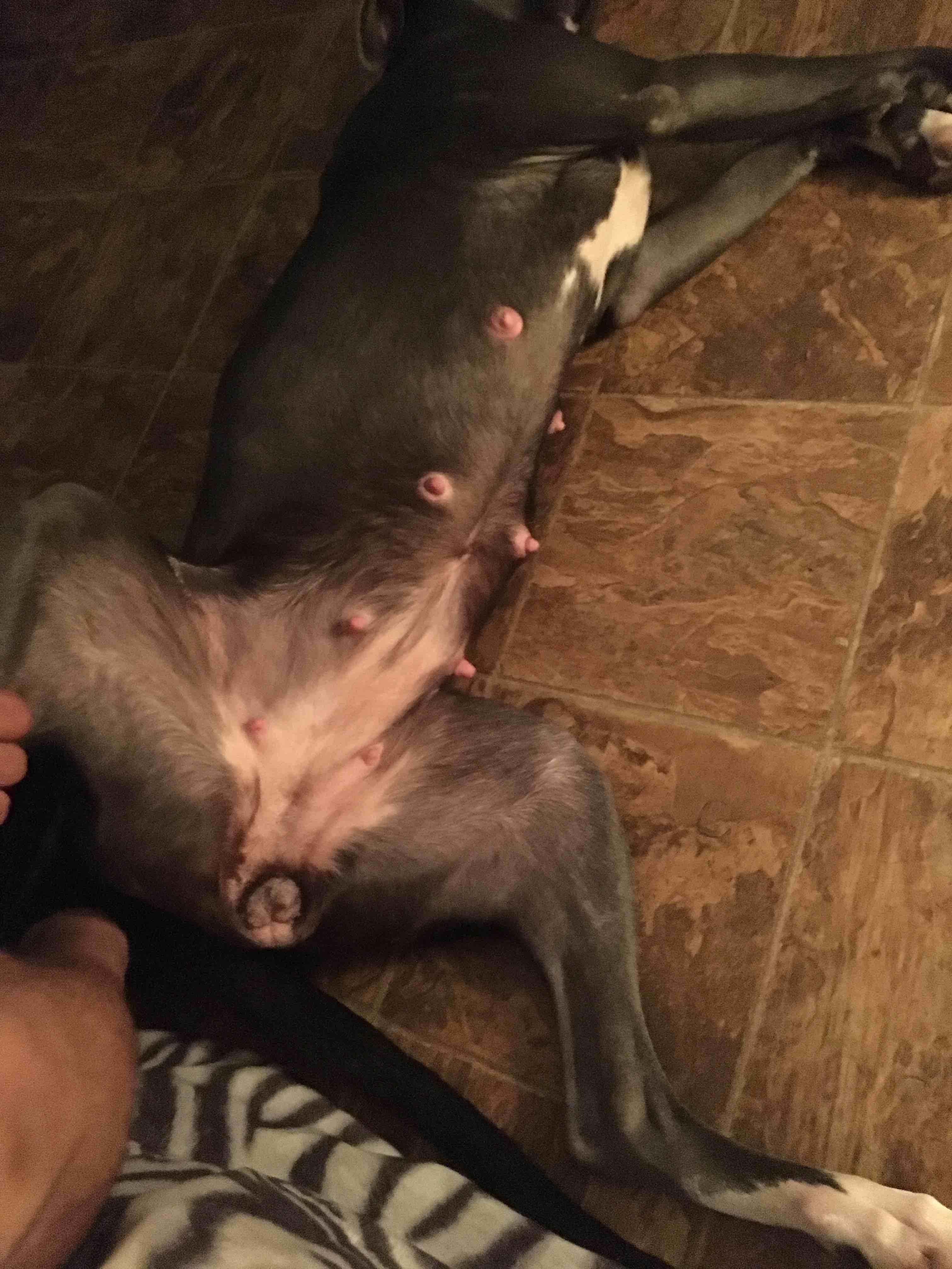 Question details sensitive content