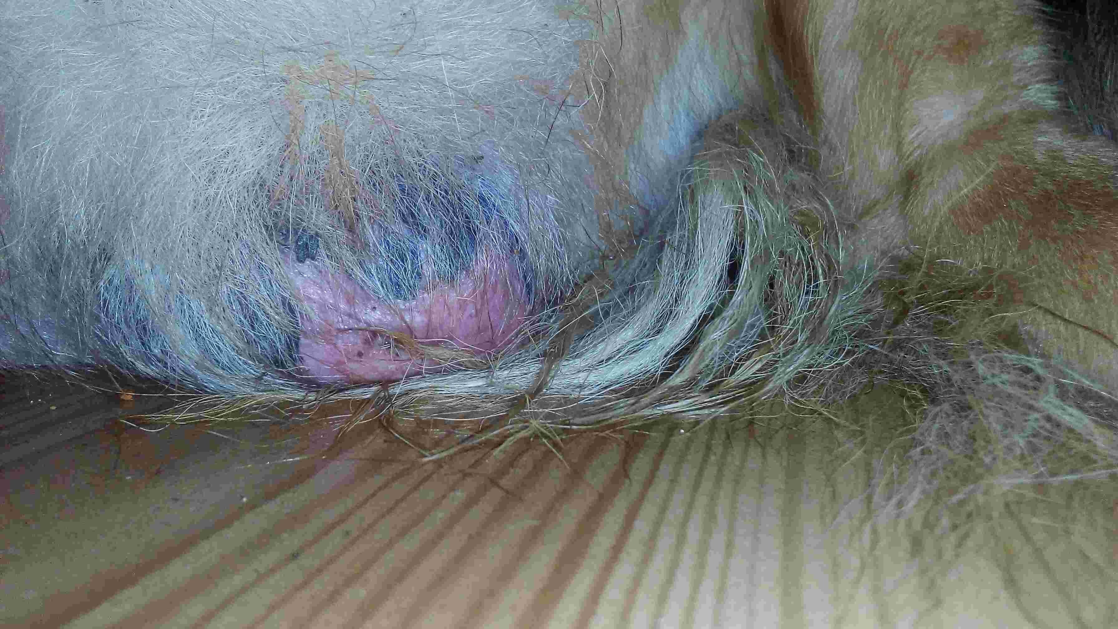 Question details sensitive content