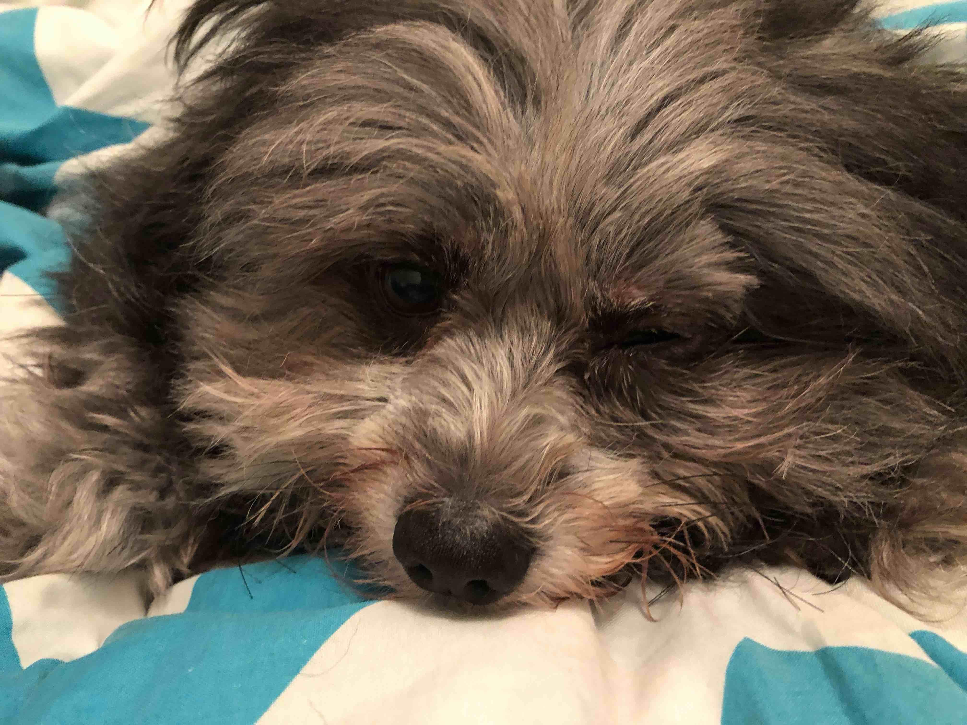 Question details sensitive content