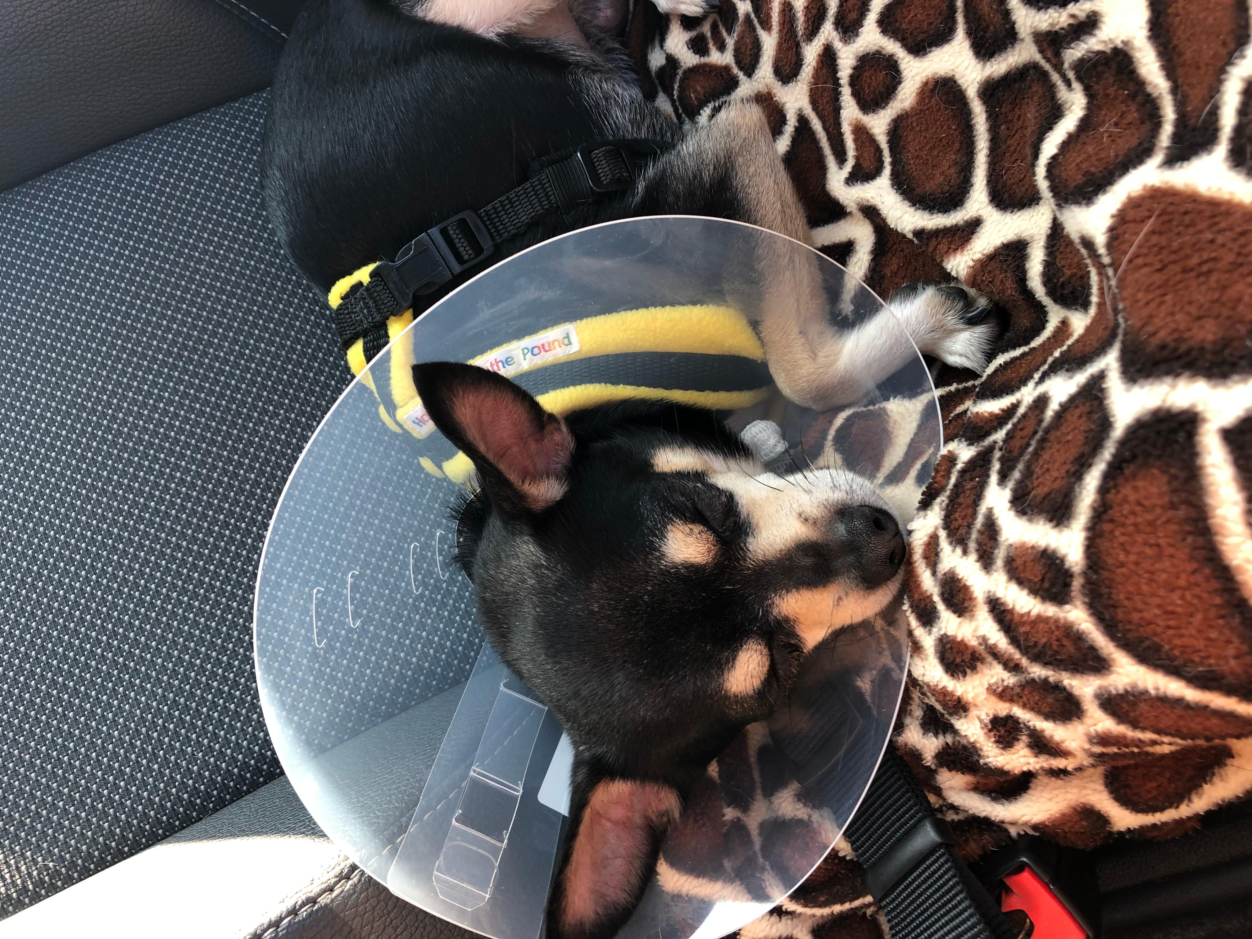 Question details sensitive content